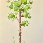 baum