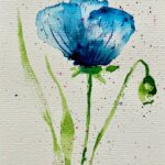 mohn